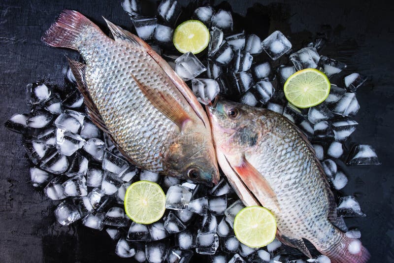 Poisson frais de tilapia sur la glace avec la pâte de citron images libres de droits Poisson frais de tilapia sur la glace avec la pâte de citron images libres de droits