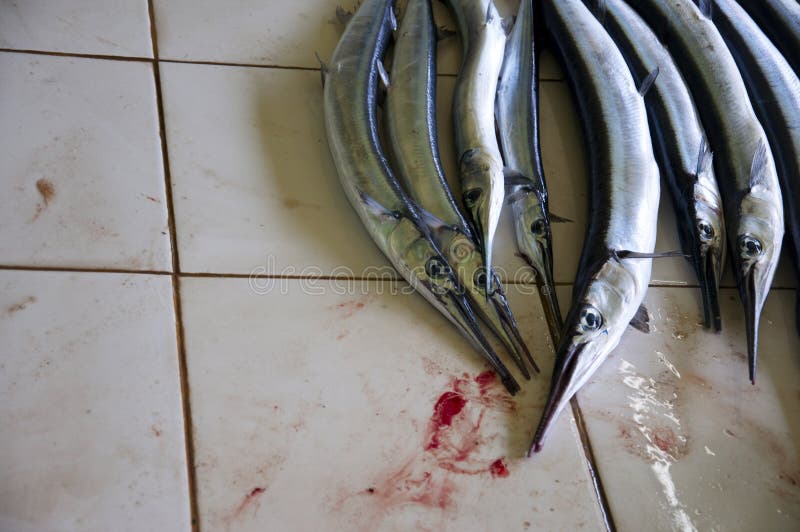 Fish being sold at a local market. Fish being sold at a local market.