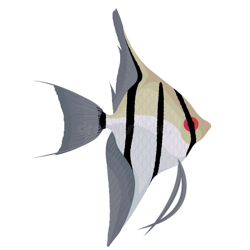 Vecteur de poissons d'aquarium de bande dessinée de scalaire