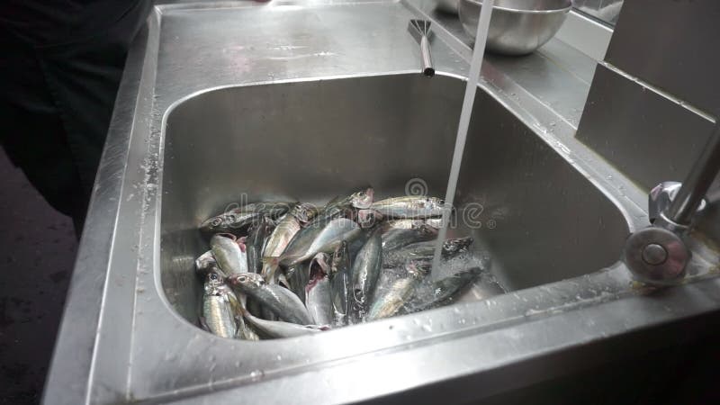 Poissons de nettoyage avec l'eau courante dans le restaurant banque de vidéos
