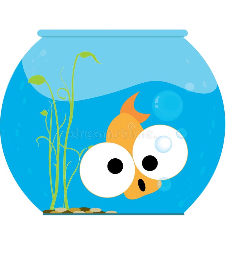Poissons drôles Poissons drôles
