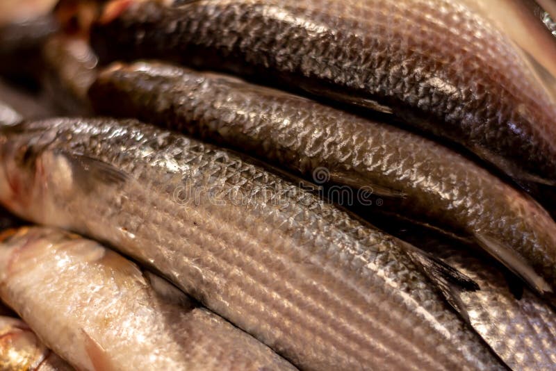 Poissons frais sur le march? Approche des échelles et de la peau des poissons de la mer Protéines de la mer images stock Poissons frais sur le march? Approche des échelles et de la peau des poissons de la mer Protéines de la mer images stock