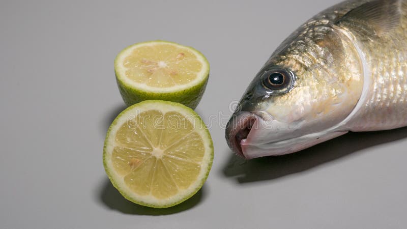 Poissons labiés épais de mulet gris, fraîchement pêchés, avec les chaux découpées en tranches photo libre de droits Poissons labiés épais de mulet gris, fraîchement pêchés, avec les chaux découpées en tranches photo libre de droits
