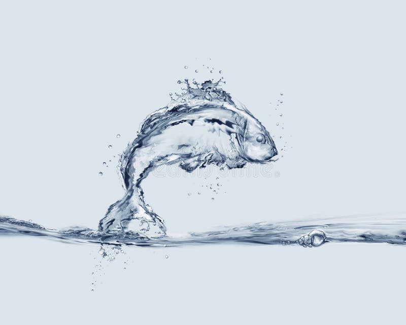 Poissons sautants de l'eau images libres de droits Poissons sautants de l'eau images libres de droits