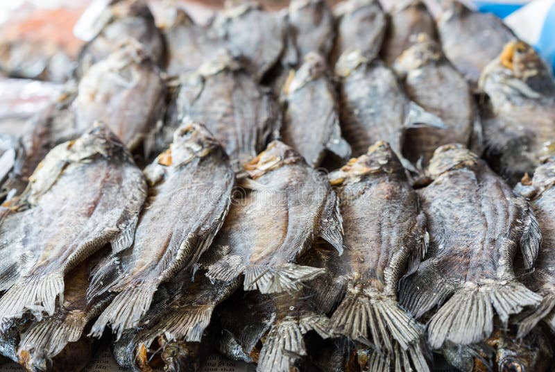 Poissons secs à vendre sur une boutique dans le delta du Mékong, Vietnam image libre de droits Poissons secs à vendre sur une boutique dans le delta du Mékong, Vietnam image libre de droits