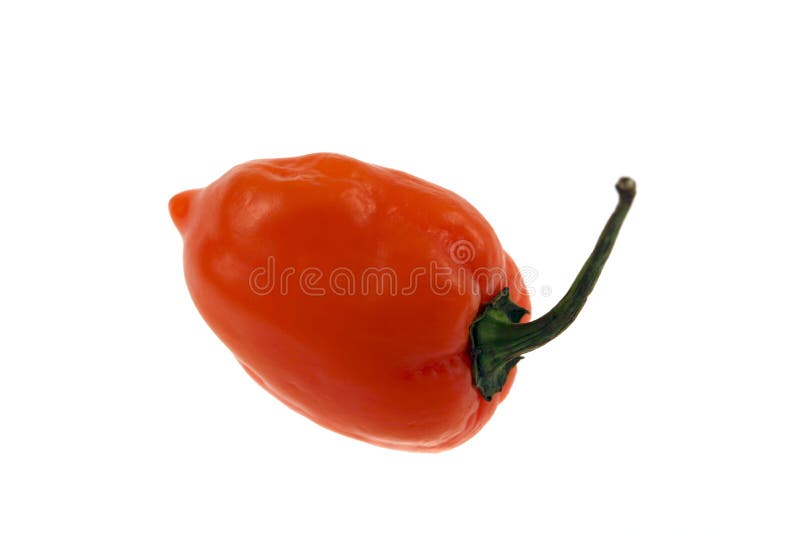 Poivre de Habanero photo stock Poivre de Habanero photo stock
