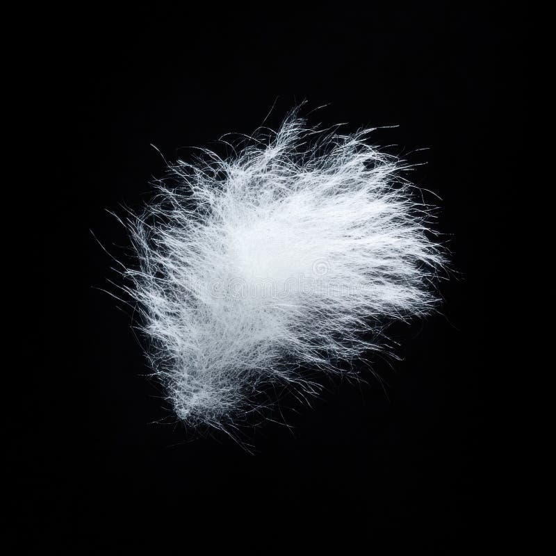 Pojedyncza Fluffy Cloud Wydaje Się Delikatna, Ale Żywa Na Czarnym Tle royalty ilustracja