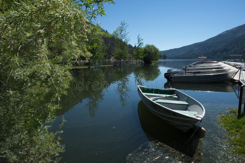 Pojedynczy Rowboat W Marina zdjęcie stock
