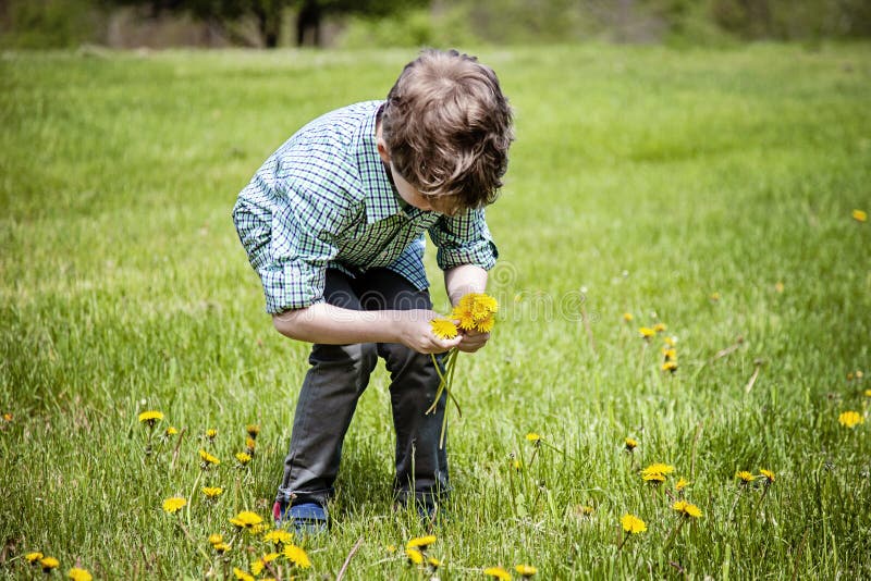 Pojke i gr? s utanf? r val av blommor royaltyfria bilder