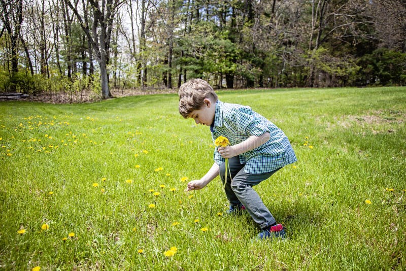 Pojke i gr? s utanf? r val av blommor royaltyfri fotografi