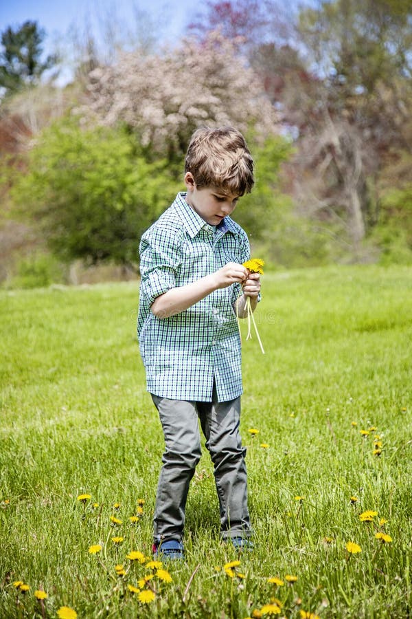 Pojke i gräs utanför val av blommor royaltyfria bilder