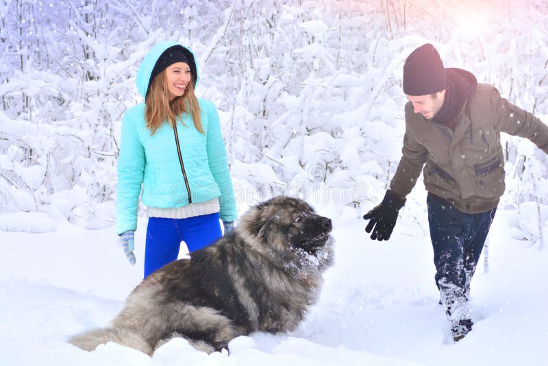 Pojkvännen, girfriend och deras stora caucasian herdehund i vinter parkerar arkivbild