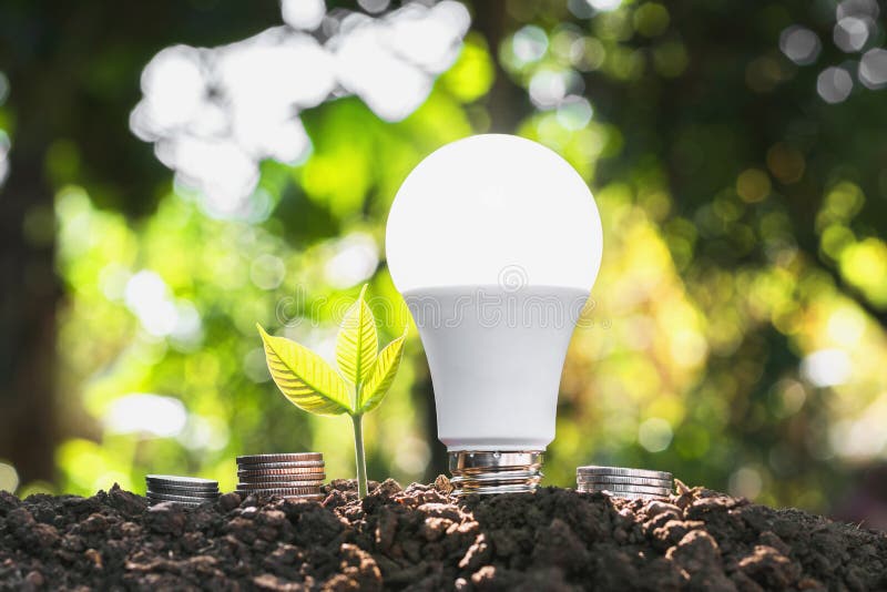 pojęcia energooszczędny lightbulb z rośliny dorośnięciem i pieniądze sta
