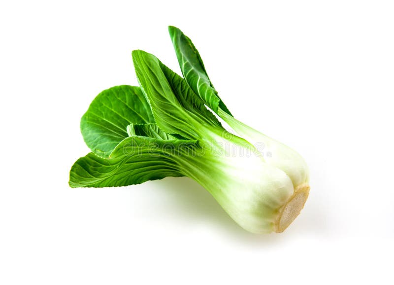 Pok Choi on white background, Chinese Vegetable cabbage stock image Pok Choi on white background, Chinese Vegetable cabbage stock image