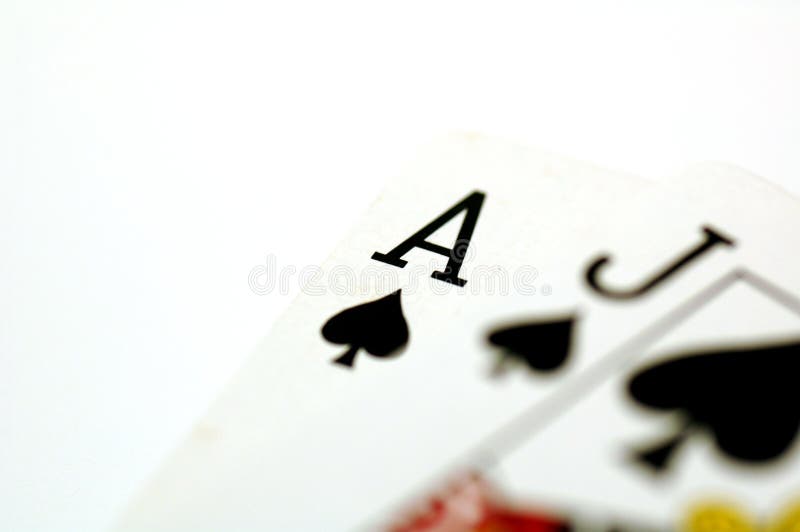 Dog Labrador Retriever Breed Silhouette Stock Vector Illustration Of Standing Pets