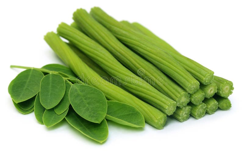 Pokrojony Moringa Oleifera lub sonjna z liśćmi obraz royalty free
