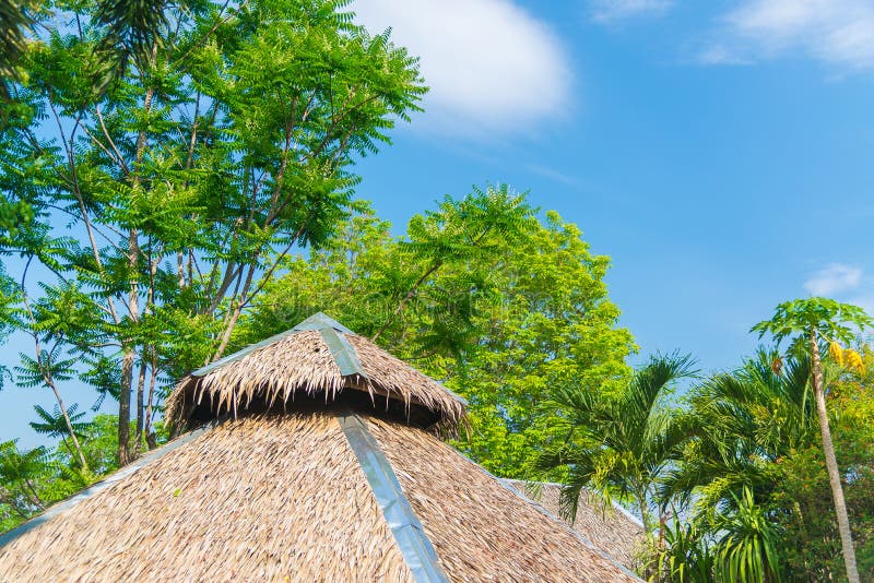 Thatched roof house and a green garden with blue sky and cloud in countryside. Thatched roof house and a green garden with blue sky and cloud in countryside.