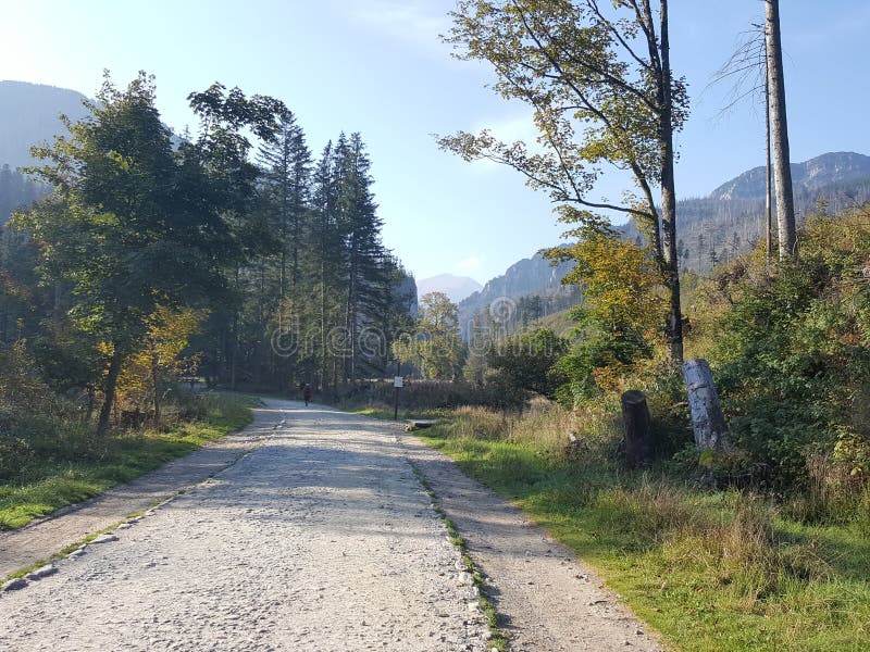 Poland, Malopolska, Tatra mountains - the Koscieliska valley. stock photography Poland, Malopolska, Tatra mountains - the Koscieliska valley. stock photography