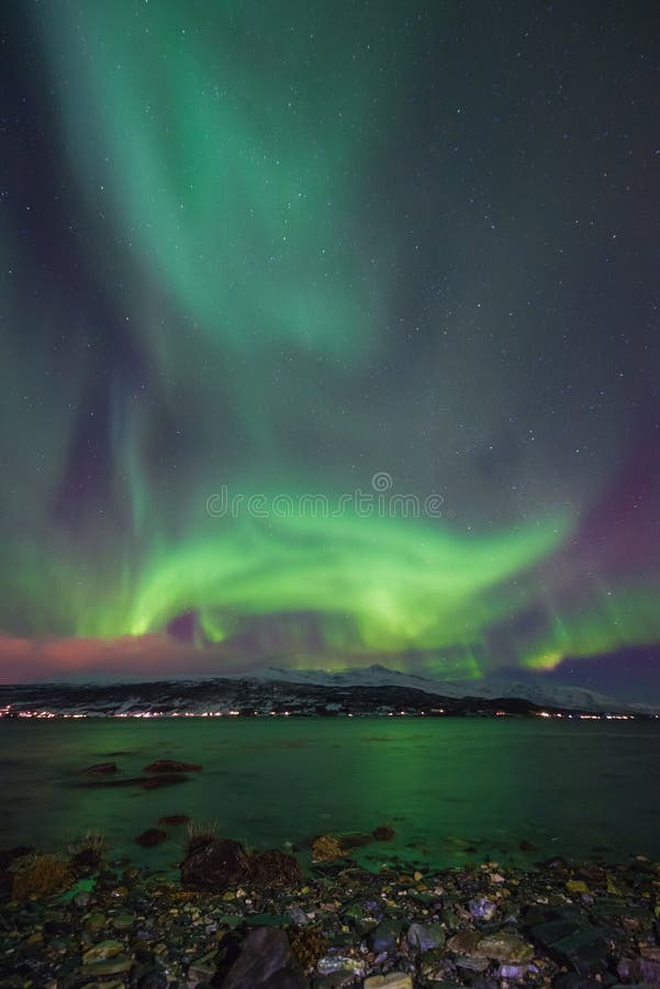 Polar arctic Northern lights aurora borealis sky star in Scandinavia Norway Tromso in the farm winter snow mountains stock image Polar arctic Northern lights aurora borealis sky star in Scandinavia Norway Tromso in the farm winter snow mountains stock image