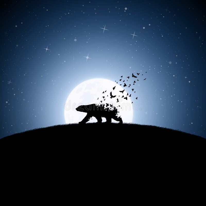 Polar Bear on Moonlight Night Stock Vector Illustration of moonlight