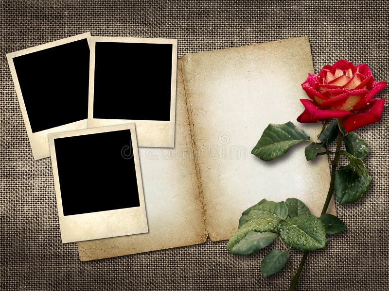 Polaroid-style photo on a linen background with red rose