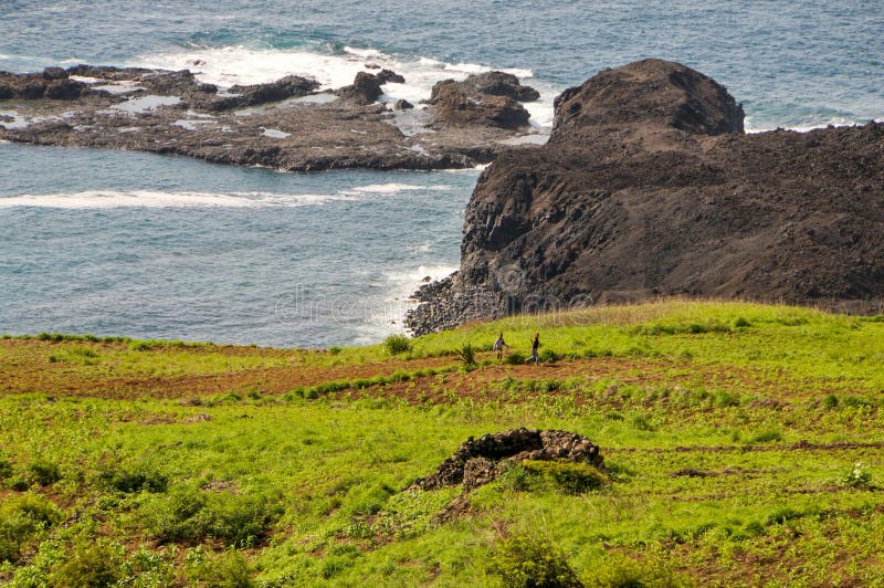 Farm filed over the bay of Salinas in Sao Jorge, Fogo, Cabo Verde during agriculture season. Farm filed over the bay of Salinas in Sao Jorge, Fogo, Cabo Verde during agriculture season