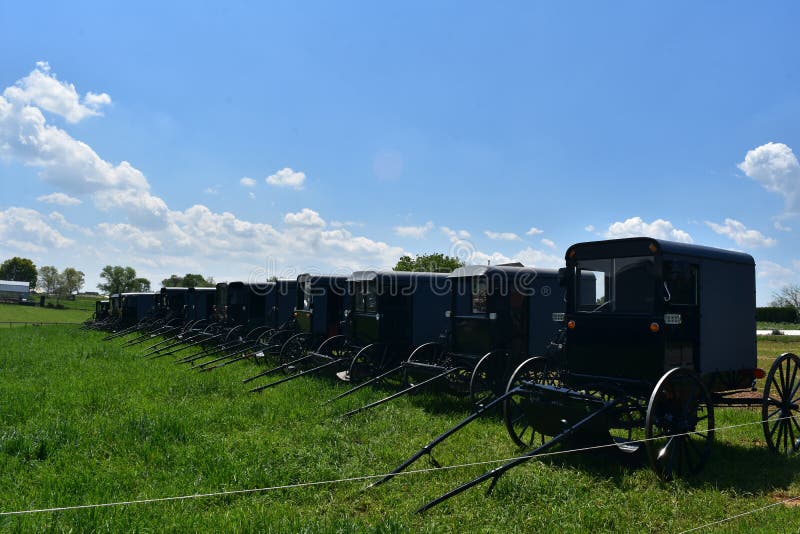 Pole Wypełniający z Amish powozikami Parkującymi w Lancaster okręgu administracyjnym zdjęcia stock Pole Wypełniający z Amish powozikami Parkującymi w Lancaster okręgu administracyjnym zdjęcia stock