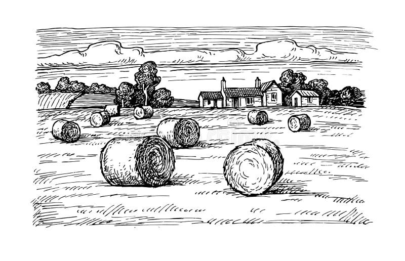 Pole z haystacks royalty ilustracja Pole z haystacks royalty ilustracja