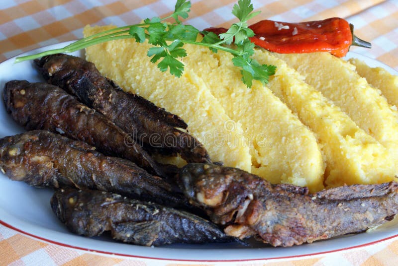 Polenta or mamaliga with grilled fish. Polenta or mamaliga with grilled fish