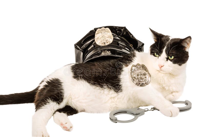 Portrait of a Funny Cat in a Police Hat and Tie Stock Photo - Image of  constable, kitten: 178698814