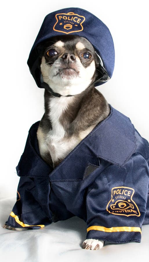 dog security guard costume