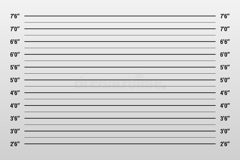 Police Lineup or Mugshot Background Stock Vector Illustration of