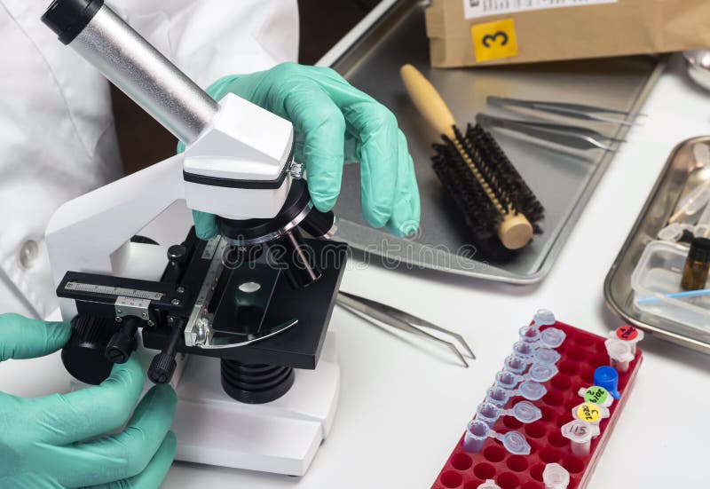 Police scientist examines victim`s hair under microscope in crime lab stock photos