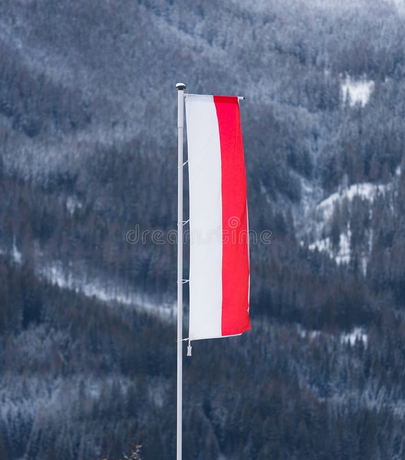 Polish flag waving on wind against mountain covered by snow