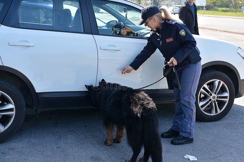 Polizia con le unità canine effettuare i controlli