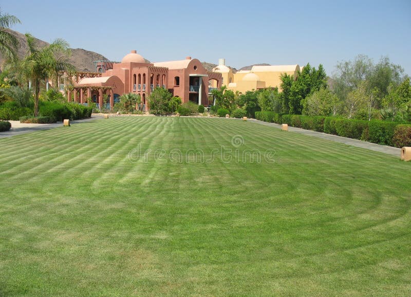 Pollard lawn in Egypt stock photo. Image of mansion, luxury 8284040