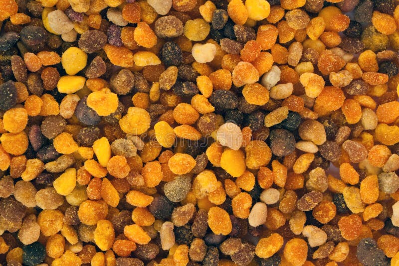 Pollen stock image. Image of yellow, orange, apiary, floral 23329491