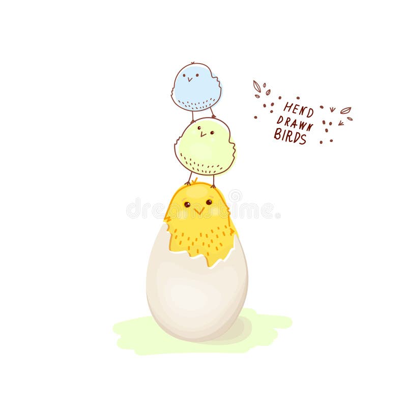 Pollito. Un Pollo Eclosionado. Huevo De Gallina Agrietada Recién Nacido  Pájaro Dibujos Animados Ilustración del Vector - Ilustración de garabato,  divertido: 204905668