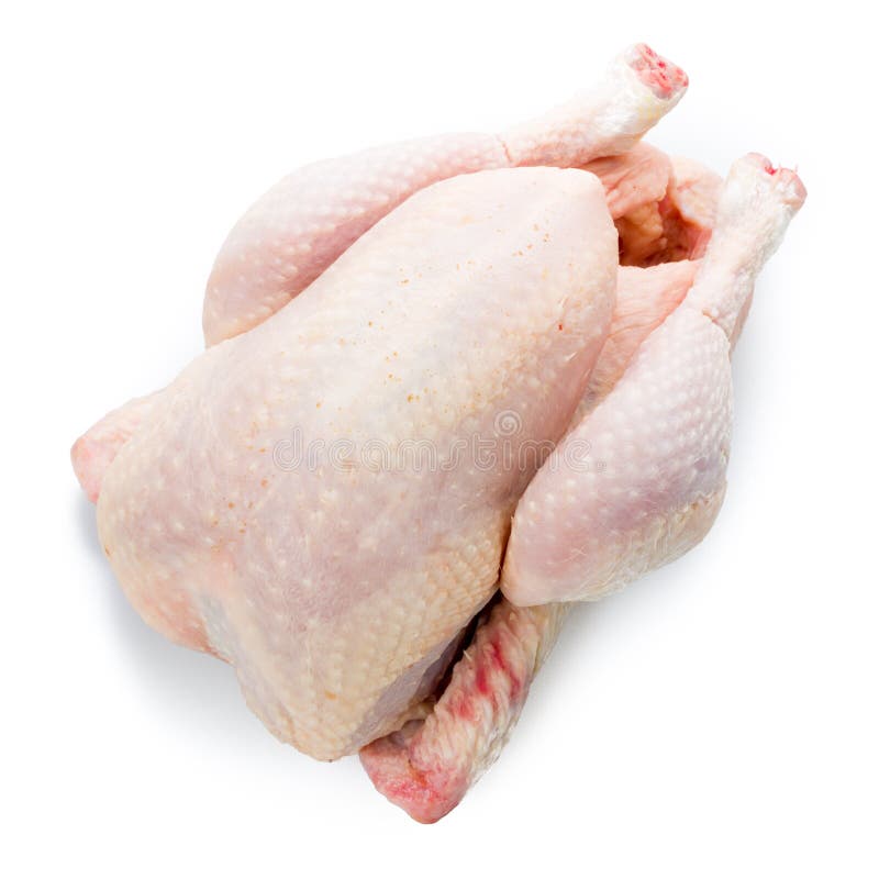 Pollo sin procesar aislado fotos de archivo libres de regalías Pollo sin procesar aislado fotos de archivo libres de regalías
