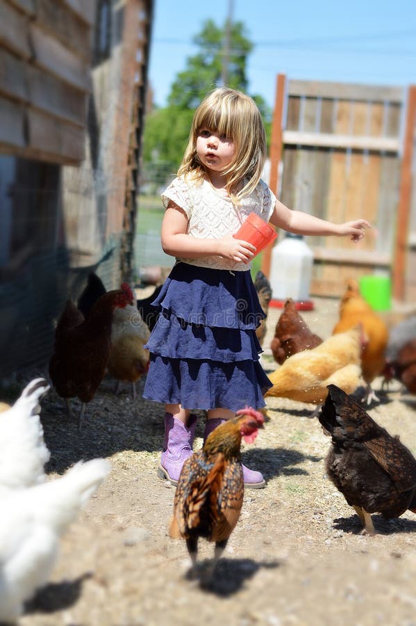 Niña pequeña alimentando gallinas imagen de archivo libre de regalías