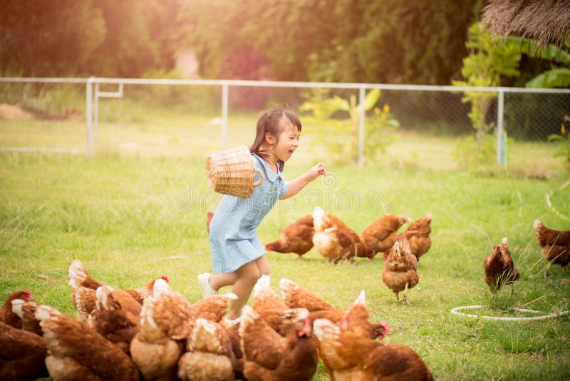 Pollos de alimentación de la niña feliz delante de la granja de pollo imagen de archivo Pollos de alimentación de la niña feliz delante de la granja de pollo imagen de archivo