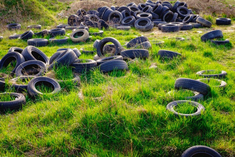 Polluted Environment with Old Used Car Tyres Stock Image Image of