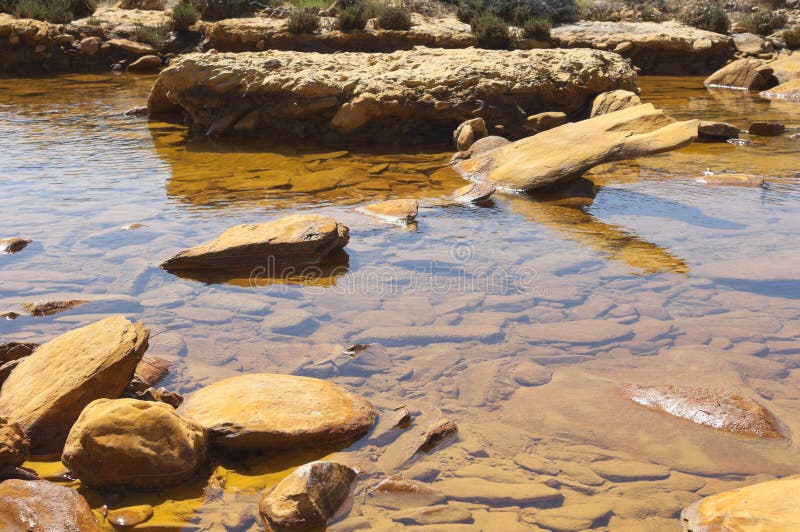 Polluted river