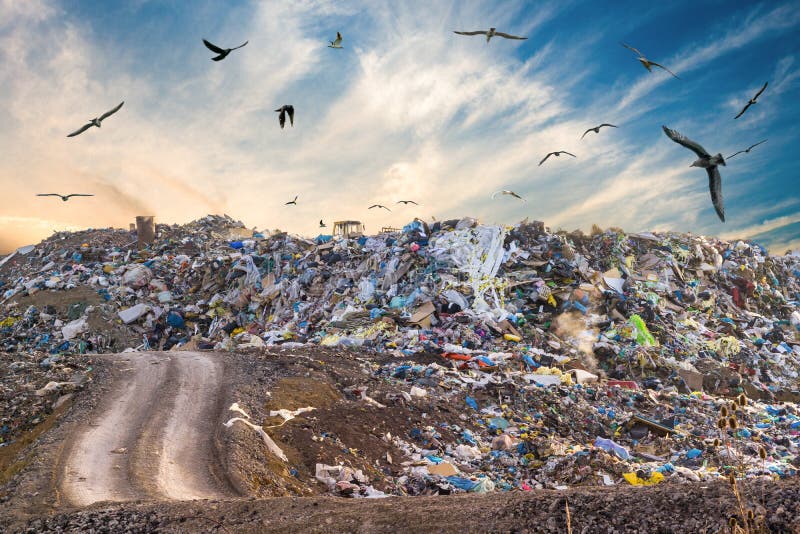 Pollution concept. Garbage pile in trash dump or landfill. Birds flying around royalty free stock image