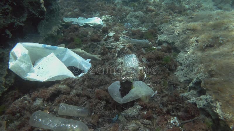 Pollution en plastique, ralenti, bains de poissons tropicaux au-dessus du fond marin couvert de beaucoup de déchets plastiques banque de vidéos
