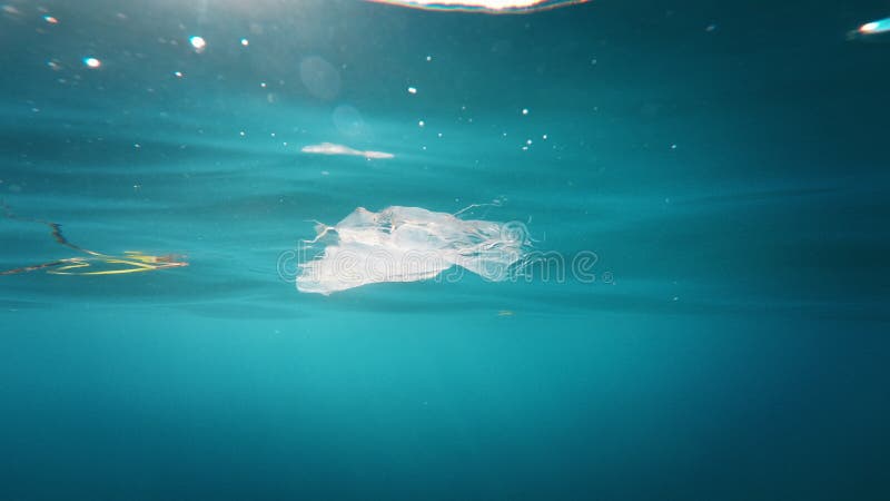 Pollution plastique en Méditerranée italienne clips vidéos