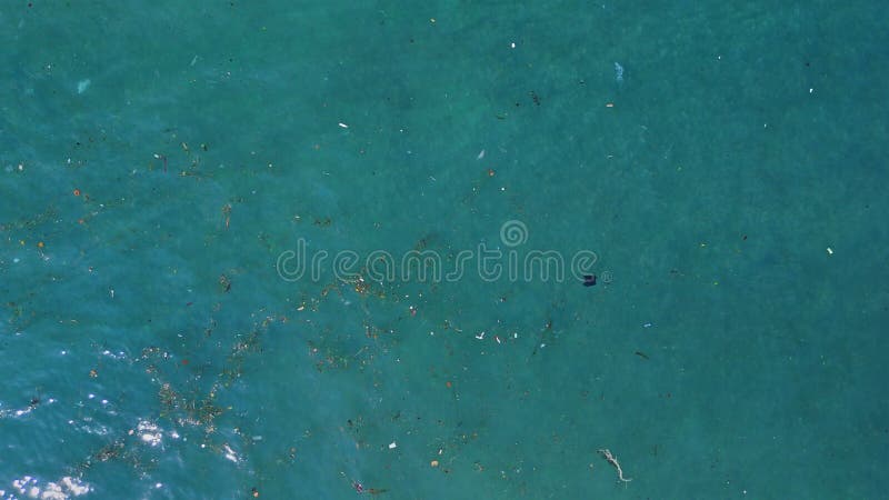Pollution plastique flottant à la surface de l'océan. Vue aérienne de la mer sale à Bali banque de vidéos