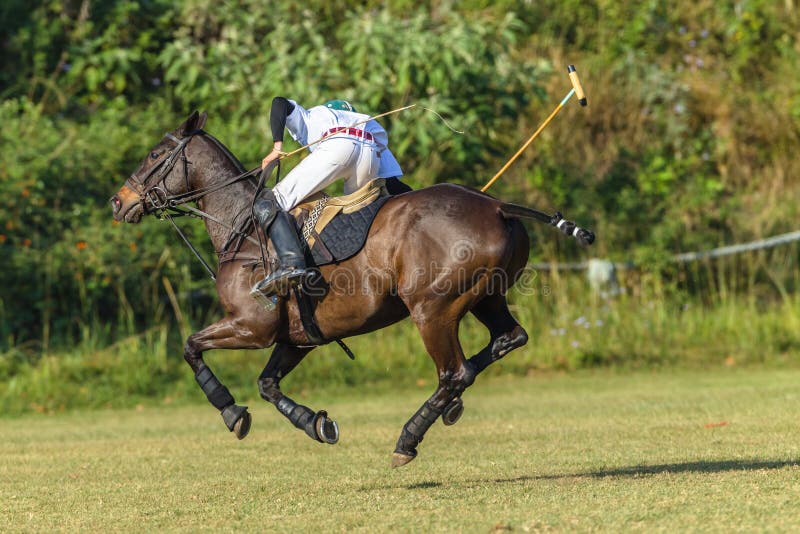 Polo jeźdza konika Gemowej piłki akcja fotografia royalty free