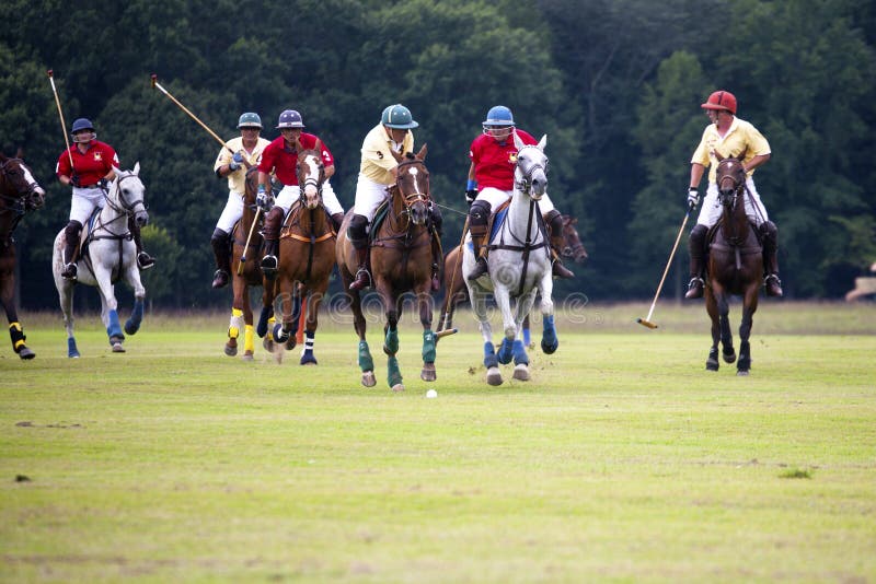 Polo Match editorial stock image. Image of pitch, driving 20659444