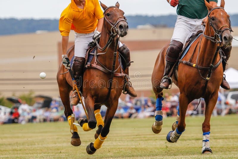 Polo match with horses galloping and ball in mid air.